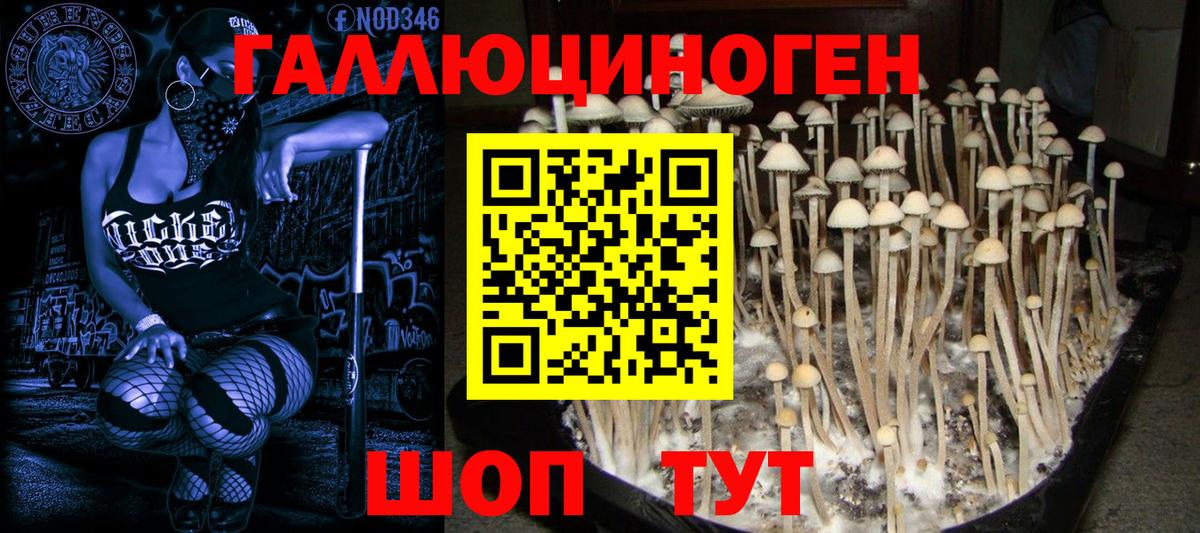 Новодвинск  Галлюциногенные грибы Magic Shrooms  Вход с VPN 